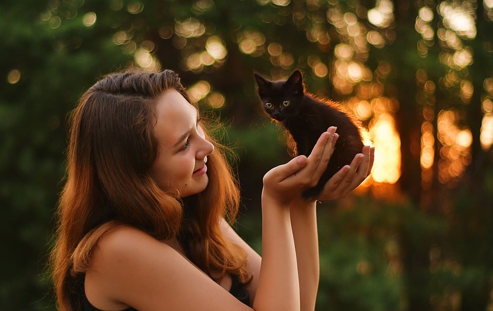 The Benefits of Traveling with Your Canine Companion