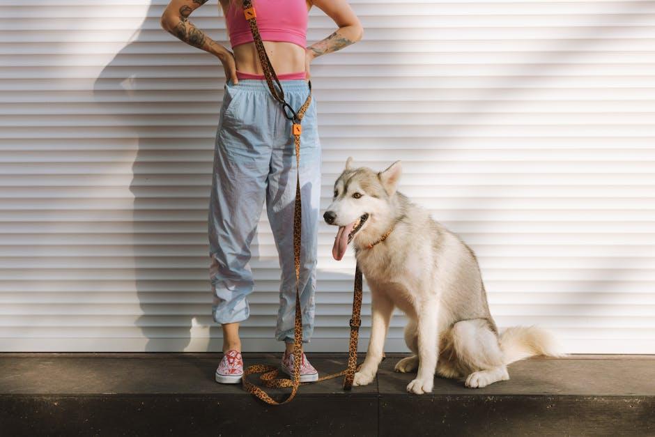 The Ultimate Guide to Paw-some Dog Accessories You Cant Resist